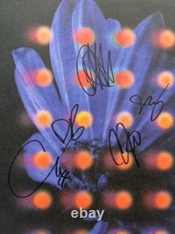 Anberlin Nevertake Grey Marble Signed Autographed Vinyl LP IN HAND