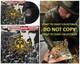 Geoff Tate Signed Queensryche Operation Mindcrime Album Proof Autographed Vinyl