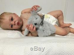 Reborn doll Dominic by Laura Tuzio Ross/signed COA/full Limbs/NEW