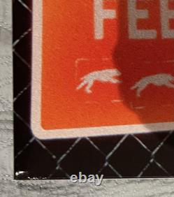 SIGNED Rarity Lower Feeling Transparent Orange LP Vinyl Record /25