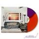 Wallows Signed Autographed Vinyl Lp Model Psa/dna Authenticated