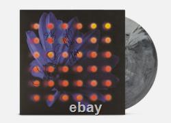 Anberlin Nevertake Marbre Gris Signé Vinyle LP EN MAIN