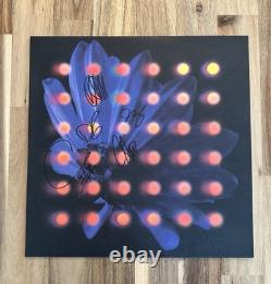 Anberlin Nevertake Marbre Gris Signé Vinyle LP EN MAIN