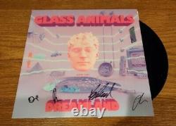 Animaux Glass Signés Dreamland +4 Vinyl Lp Jsa Auto-enregistrement Autographe