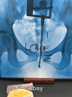 DISQUE VINYLE NOIR SIGNÉ Lorde LP SIGNÉ AUTOGRAPHIE DOUBLE VARIANTE RARE B
