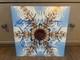 Dream Theatre Lp Vinyle Live Sign&eacute; Et Autographi&eacute; Msg X5 John Myung Rare En Personne