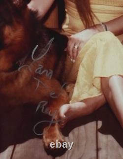 Lana Del Rey Disque Vinyle Autographié JSA Album Blue Banisters
