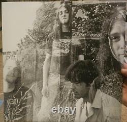Nirvana Krist Novoselic Vinyle Signé Autographié Album Bleach LP JSA COA