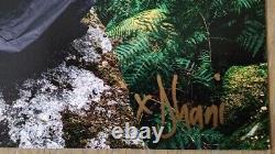 Photo autographiée signée par Dhani Harrison avec un disque vinyle double INNERSTANDING