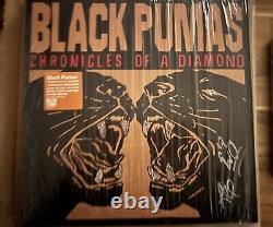 Signé! Chroniques Black Pumas d'un vinyle autographié orange éclaboussé de diamant