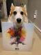 Signé/autographié Zedd True Colors (2 X Vinyle, Lp, Album, Gatefold)
