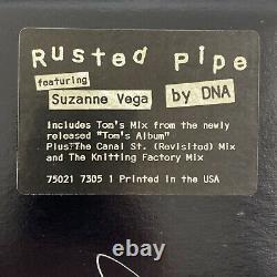 Suzanne Vega Signed Rusted Pipe Promo Vinyl Record Couverture De L'album Coa Gv933572