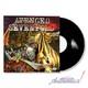Vinyle Lp Sign&eacute; D'avenged Sevenfold City Of Evil Psa/dna Authentique