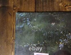 Vinyle signé SZA CTRL 2017 Autographié 2LP couleur verte translucide