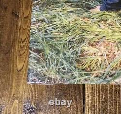 Vinyle signé SZA CTRL 2017 Autographié 2LP couleur verte translucide